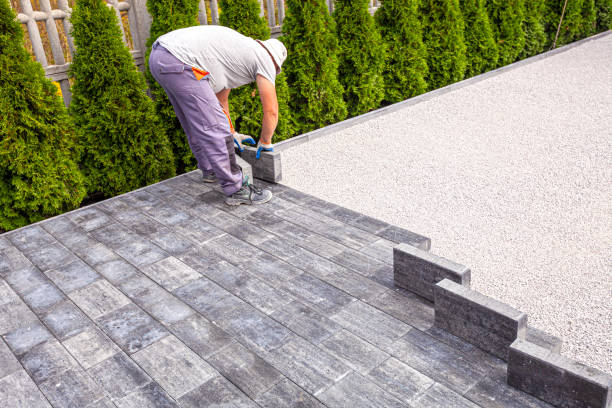 Best Residential Driveway Paver Services  in Picacho Hills, NM